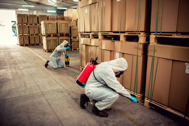Pest Prevention Services in Newport, SC