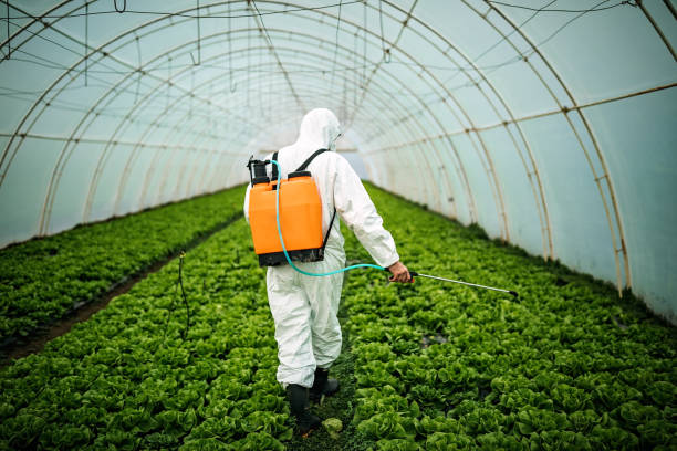 Best Residential Pest Control  in Newport, SC