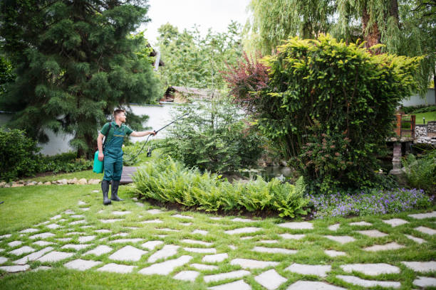 Best Wasp Removal Services  in Newport, SC